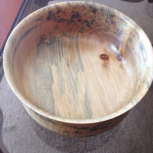 Monkey puzzle wood turned bowl