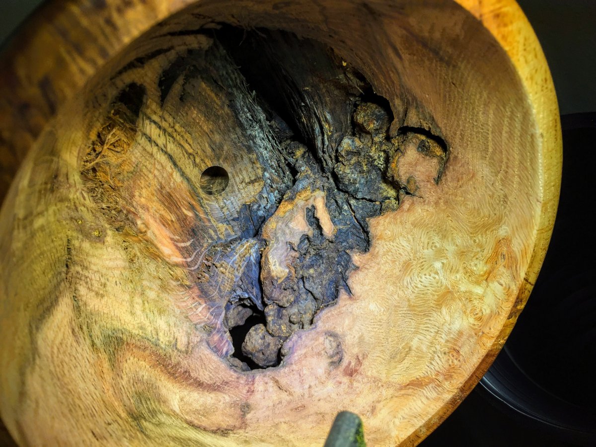 Oak burl from firewood...